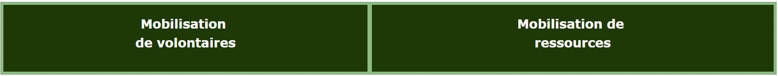 Nouveau Image bitmap 2